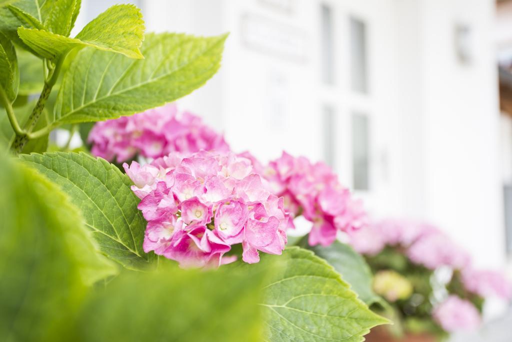 Appartement Am Sonnweg Seefeld w Tirolu Zewnętrze zdjęcie